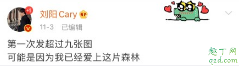 爱上了这片森林什么梗 2019最佳渣男语录合集