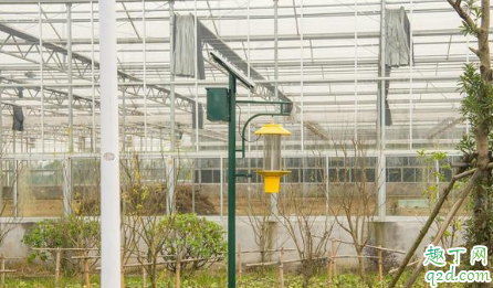 蔬菜大棚杀虫灯怎么选择 大棚蔬菜用什么灯好