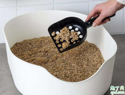 幼猫几个月开始用猫砂 怎么教幼猫用猫砂上厕所