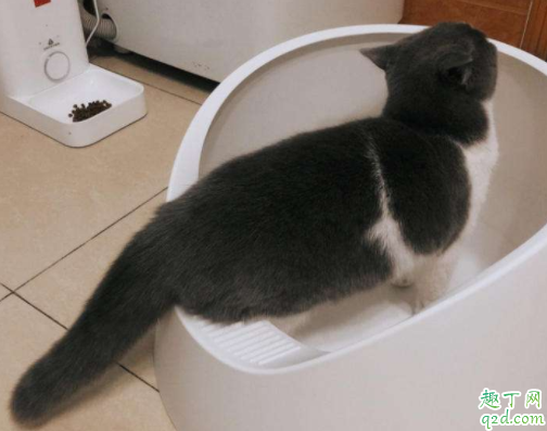 全自动猫砂盆怎么样 封闭式猫砂盆防臭吗