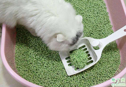 猫砂可以自己做吗 怎么教猫咪用猫砂埋屎