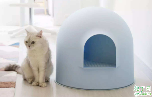 猫需要几个猫砂盆 两只猫可以共用一个猫砂盆吗