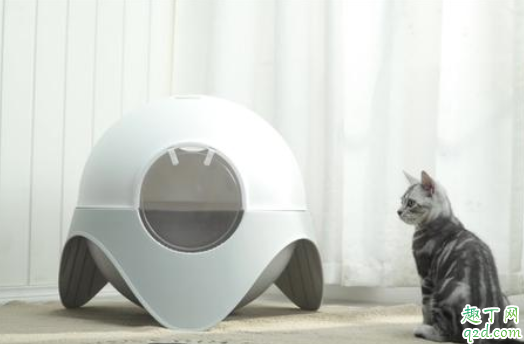 猫需要几个猫砂盆 两只猫可以共用一个猫砂盆吗