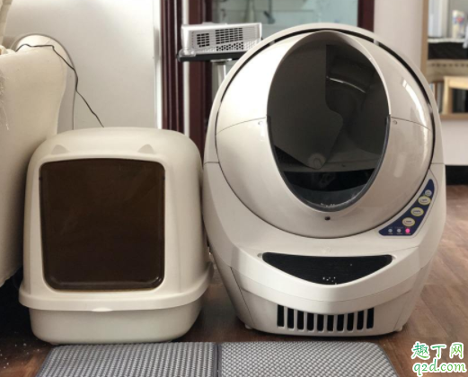 猫总是在猫砂盆里趴着怎么回事 猫在猫砂盆边缘拉屎怎么办