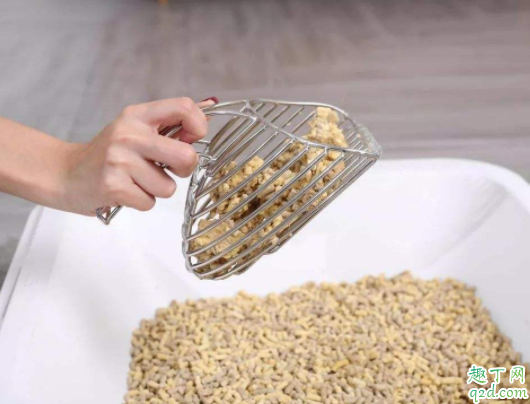 猫咪随地拉屎怎么回事 怎么解决猫咪随地拉屎