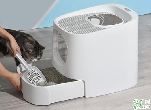 猫咪随地拉屎怎么回事 怎么解决猫咪随地拉屎