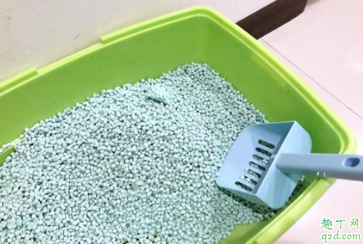 猫砂盆在房间里味道很大怎么办 猫砂盆消毒用什么