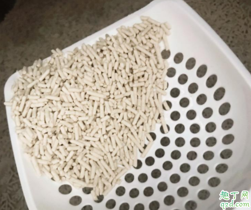 猫砂盆换位置怎么告诉猫 猫砂盆放在家里哪个位置好