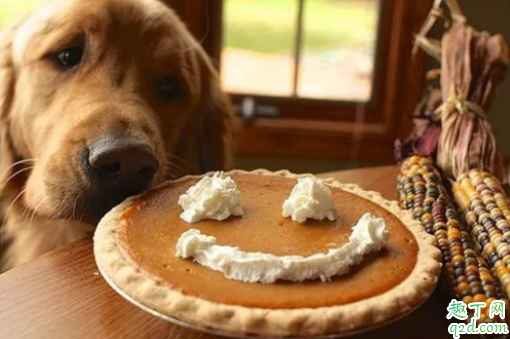 为什么母狗吃小狗的便便 母狗吃小狗怎么办