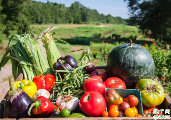 眼睛有白内障会引起痒痛吗 白内障发展到最后会怎么样