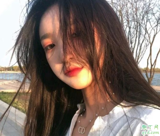 2019伊乐app二维码下载 伊乐手机app官网版哪里有