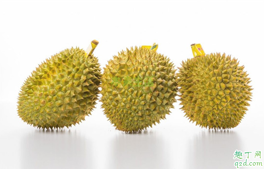 怀孕5个月榴莲吃多了会怎么样 怀孕5个月一天吃几块榴莲好