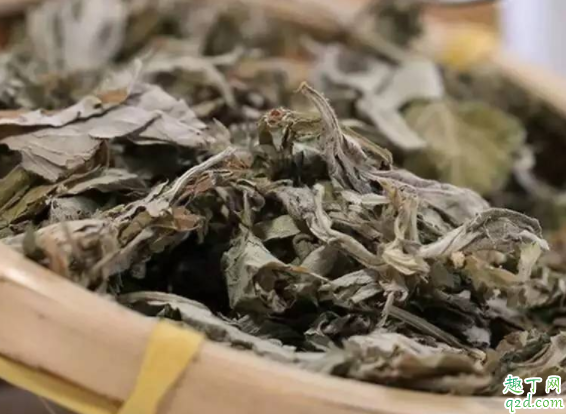 体湿和体寒有什么不同 寒性体质可以用艾叶水泡脚吗