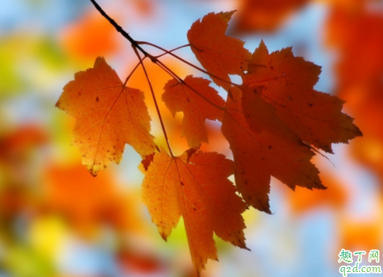 秋天怎么预防过敏性鼻炎 过敏性鼻炎和遗传关系大吗