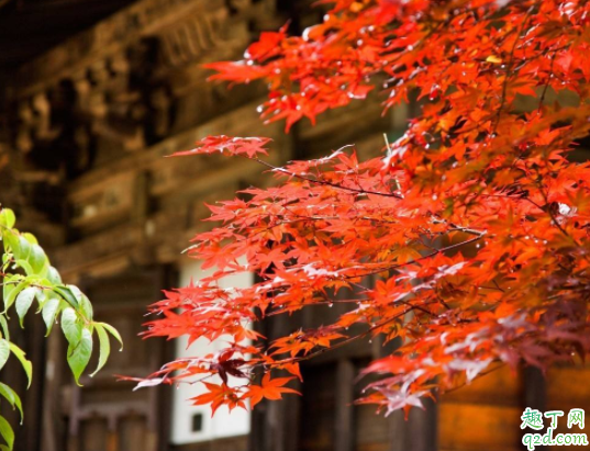 秋天怎么预防过敏性鼻炎 过敏性鼻炎和遗传关系大吗