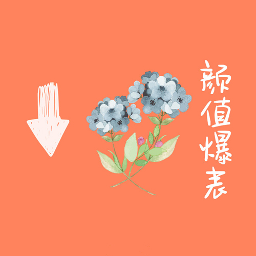 2020年朋友圈跨年九宫格图片超有趣 抖音超火的2020年锦鲤九宫格图片