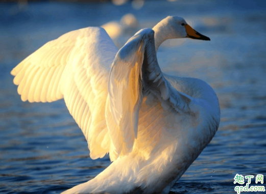 胎教音乐是给谁听的 什么音乐可以用胎教音乐