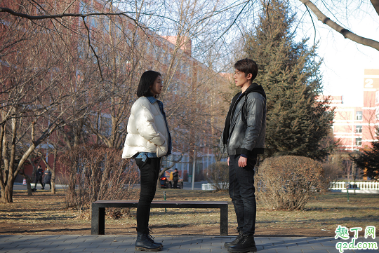 你是我的奇迹何时播出在哪看 你是我的奇迹具体更新时间