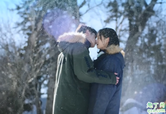 你是我的奇迹何时播出在哪看 你是我的奇迹具体更新时间