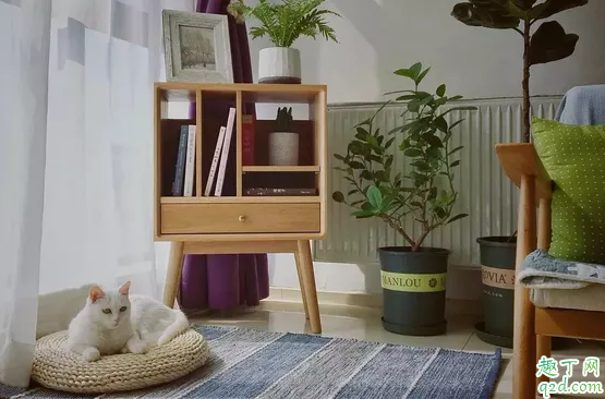 北欧风格用什么样的地毯好 北欧风格地毯怎么搭配