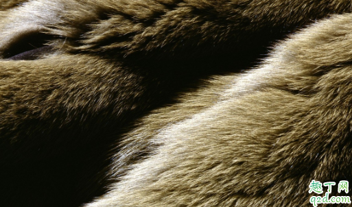 皮草局部变绿是咋回事 皮草氧化发绿该怎么办