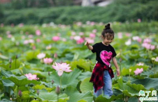 小孩膝盖疼是缺钙吗 小孩膝盖疼是什么引起的