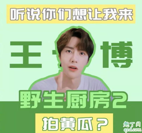 野生厨房王一博是常驻嘉宾吗 野生厨房王一博什么时候来