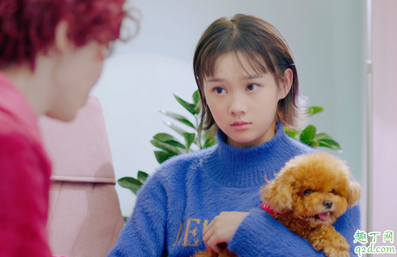 热爱何时播出在哪看 热爱具体更新时间