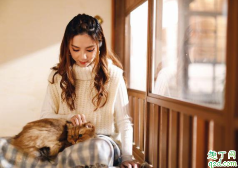 猫咪用头蹭东西是什么意思啊 猫为什么拿头蹭东西