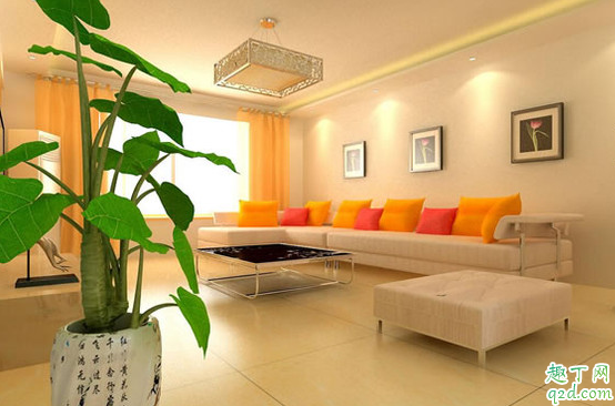 装修用硅藻泥好还是乳胶漆好 装修用硅藻泥和乳胶漆的优缺点