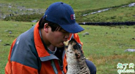 家里有老鼠会得鼠疫吗 鼠疫的传染源是什么