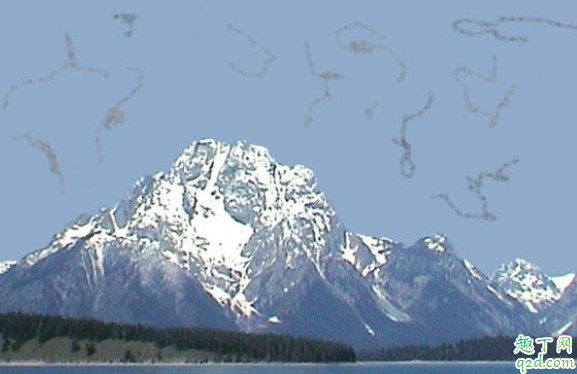 眼前有透明漂浮物是什么原因 为什么眼睛能看到很多透明的小圆点