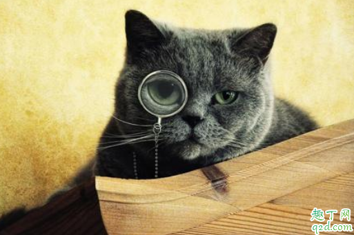 近视的人老了会老花吗 近视老花度数会抵消吗