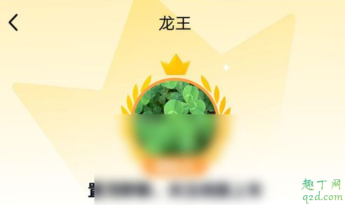 qq龙王标识怎么关闭 QQ匿名发言会有龙王标志吗