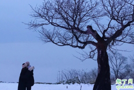 小红书下雪滤镜在哪 小红书动态下雪滤镜教程2020