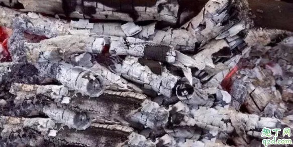 扦插育苗可以用草木灰吗 草木灰可以养兰花吗