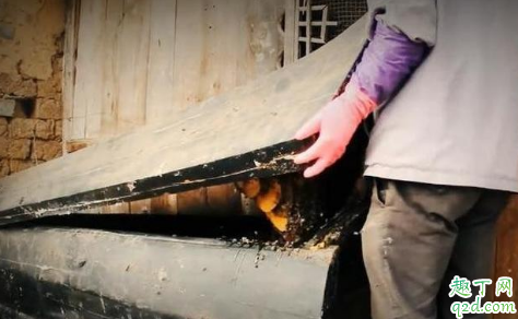 寿棺用什么木材打造好 做寿棺有什么讲究