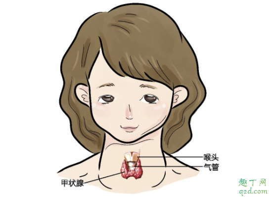 甲减什么病 甲亢和甲减的症状一样吗