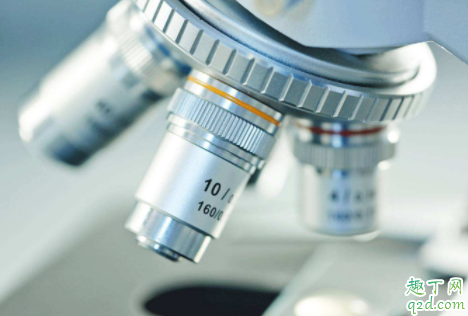 尿蛋白一加一减要紧吗 蛋白尿多少属于危险值