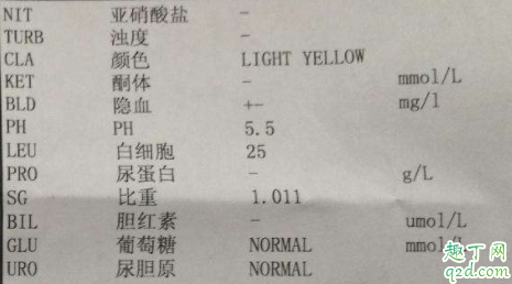 尿蛋白一加一减要紧吗 蛋白尿多少属于危险值