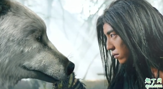 狼殿下何时播出在哪看 狼殿下具体更新时间