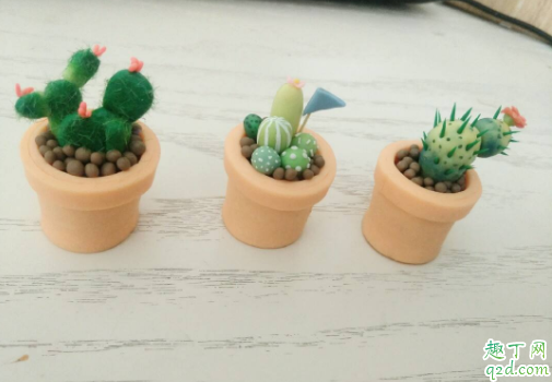 学生书桌放什么盆栽好 哪些小盆栽好养活