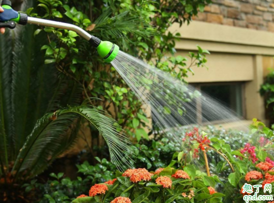 秋天花要经常浇水吗 过期的纯牛奶浇花好不好