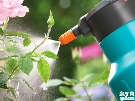 秋天花要经常浇水吗 过期的纯牛奶浇花好不好