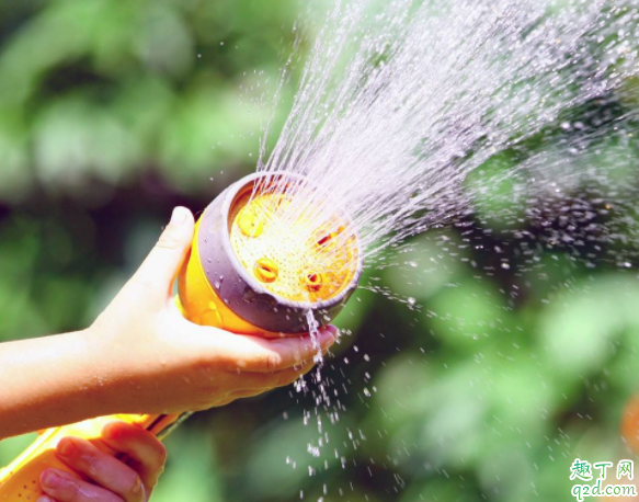 刚种的花天天浇水会淹死吗 新栽的花什么时候浇水