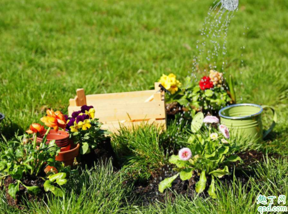 刚种的花天天浇水会淹死吗 新栽的花什么时候浇水
