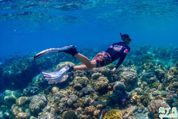 潜水镜为什么起雾 新潜水镜怎么做才不起雾