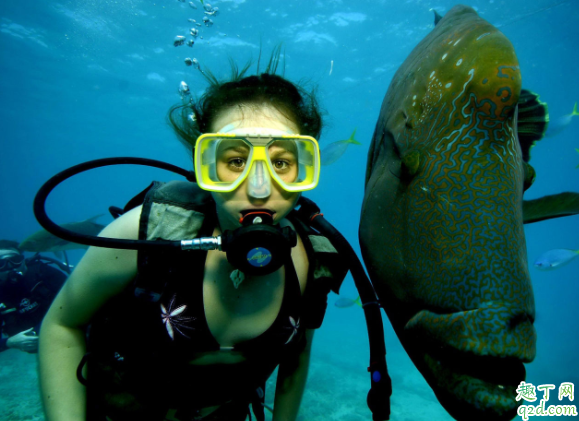 潜水的防寒服怎么洗 感冒为什么不能潜水