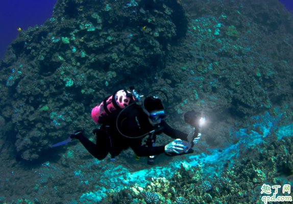 潜水的防寒服怎么洗 感冒为什么不能潜水