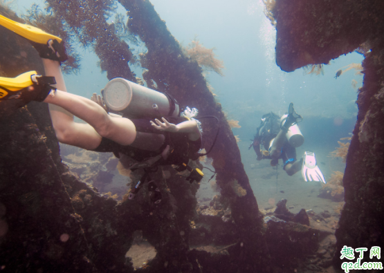 近视潜水怎么办 潜水时能不能睁眼睛